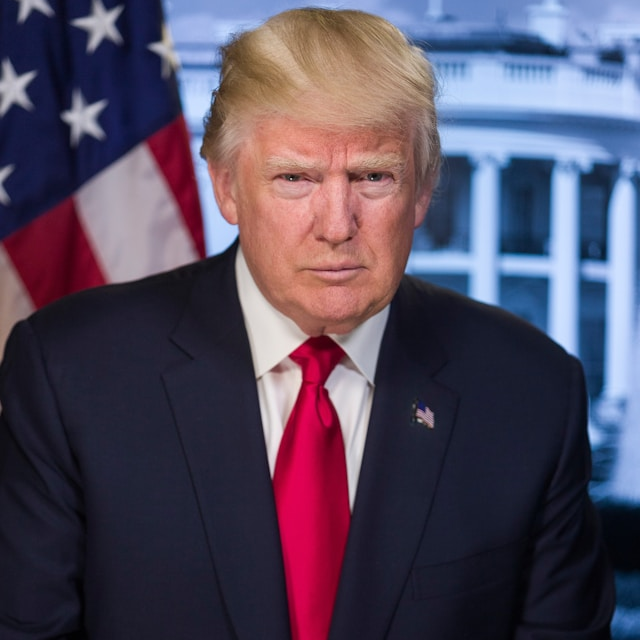 Donald J. Trump portrait